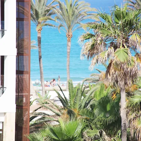 Playa Golf - Adults Only